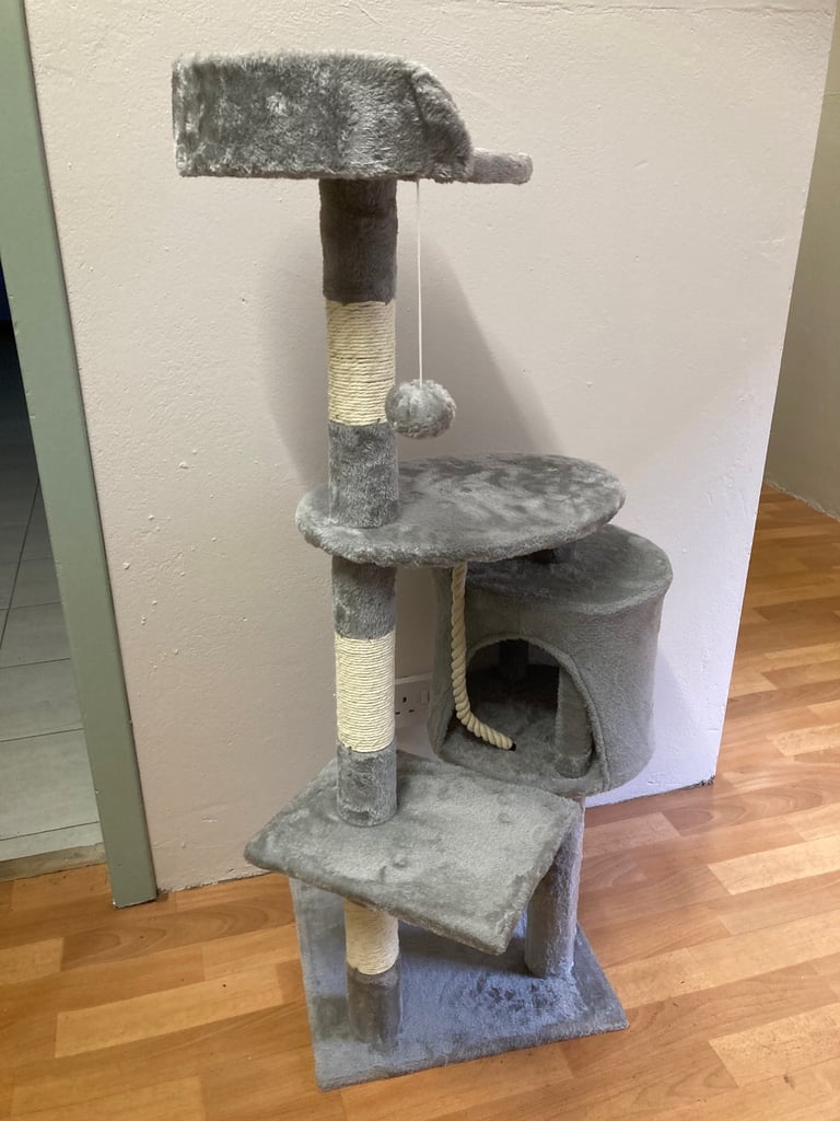 image for Cat’s scratch tree