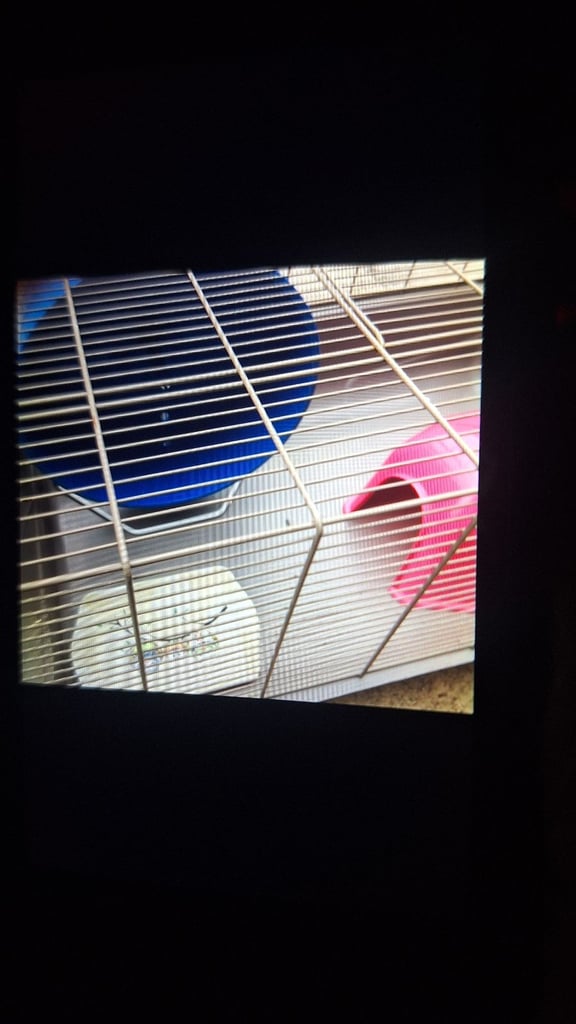 Large pet cage with accesories