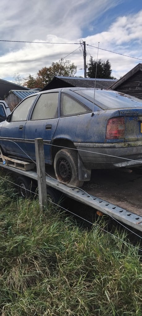 Vauxhall, CAVALIER, Hatchback, 1992, Manual, 1598 (cc),5 doors - Image 2