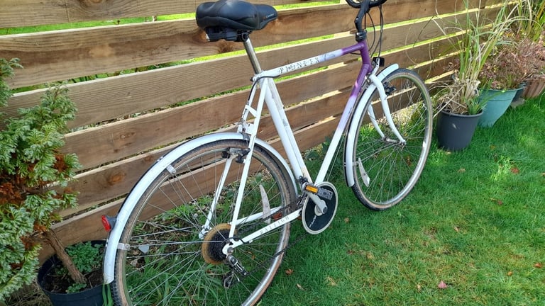Raleigh Pioneer Classic hybrid bike
