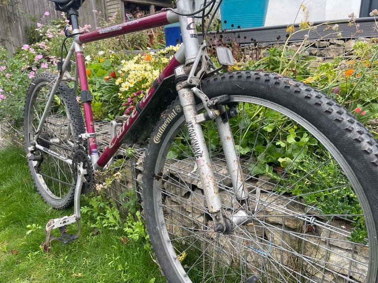 Men’s Carrera Bike