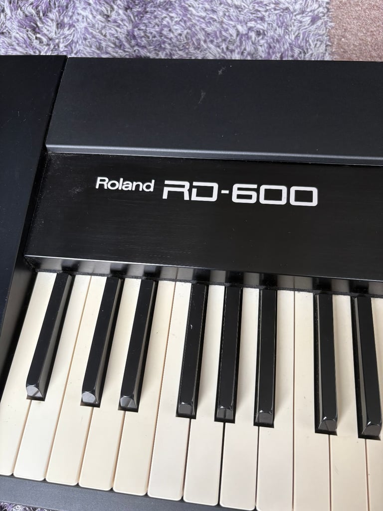 Roland RD-600 Digital Piano with Peavey Rage 158 Transtube Series Amplifier