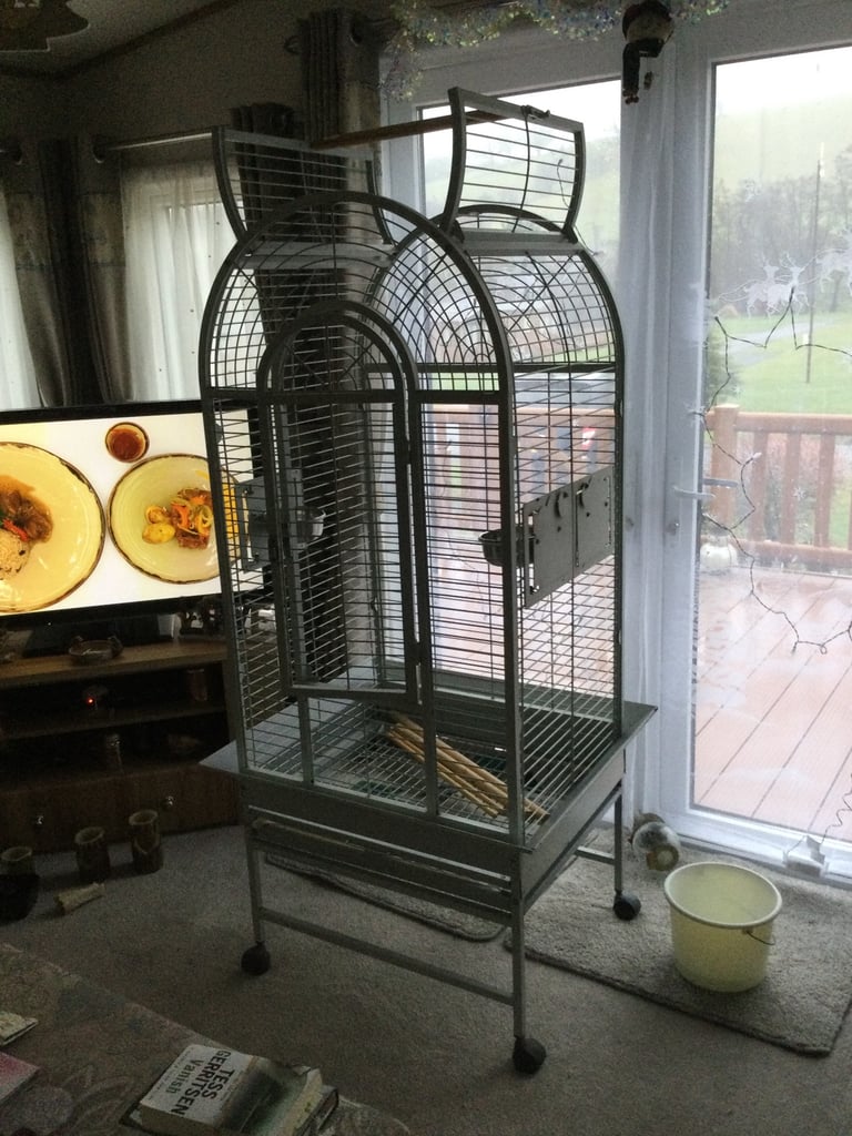 Large parrot cage