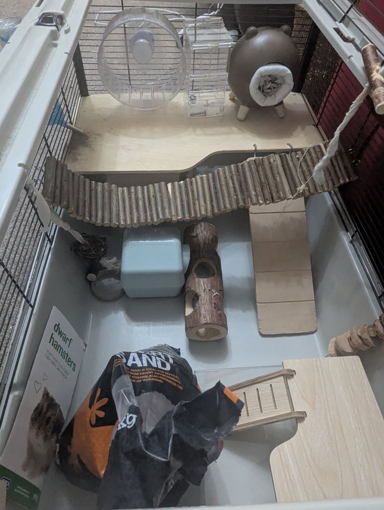 Large cage for hamster