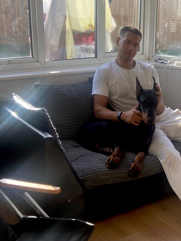 A stunning 6 month old Doberman male puppy 