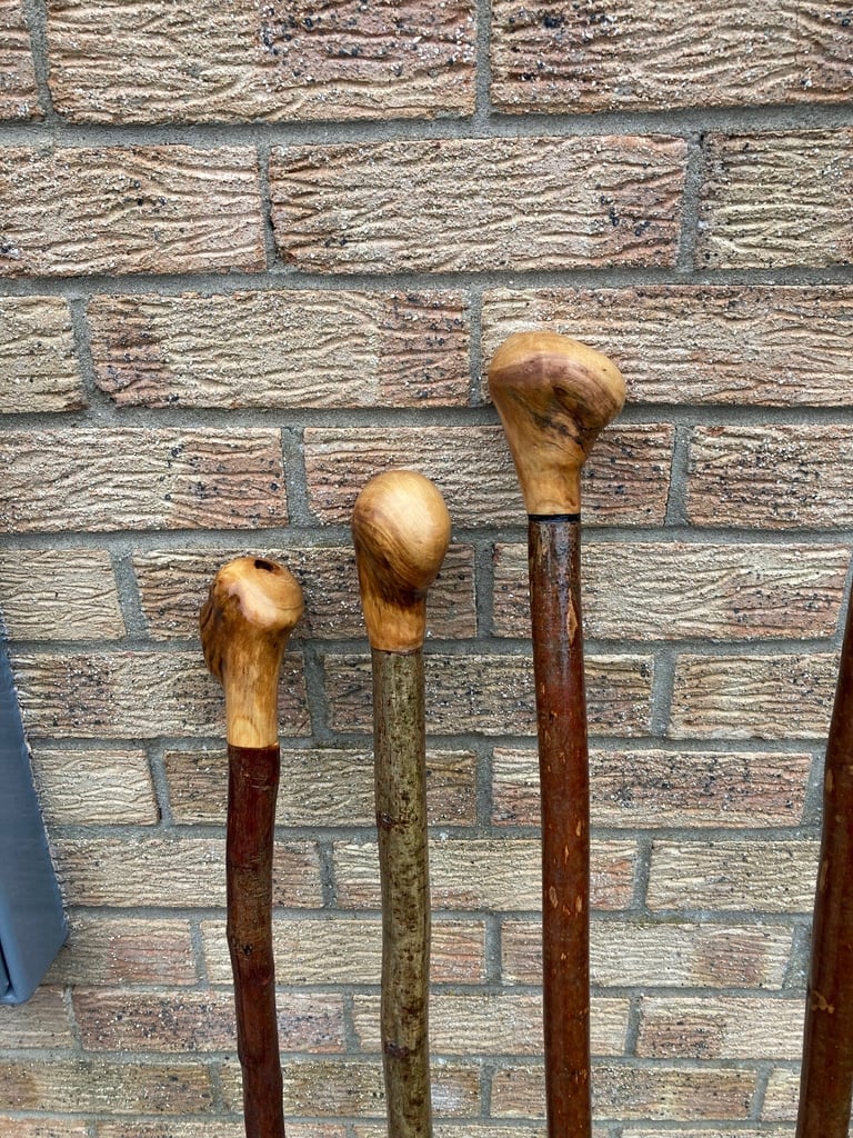 image for Hiking sticks 