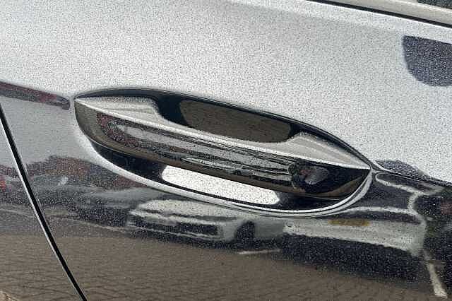 2022 Volkswagen Golf 1.5 TSI Life 5dr + 17' VENTURA + REAR TINTS Hatchback Hybrid Manual