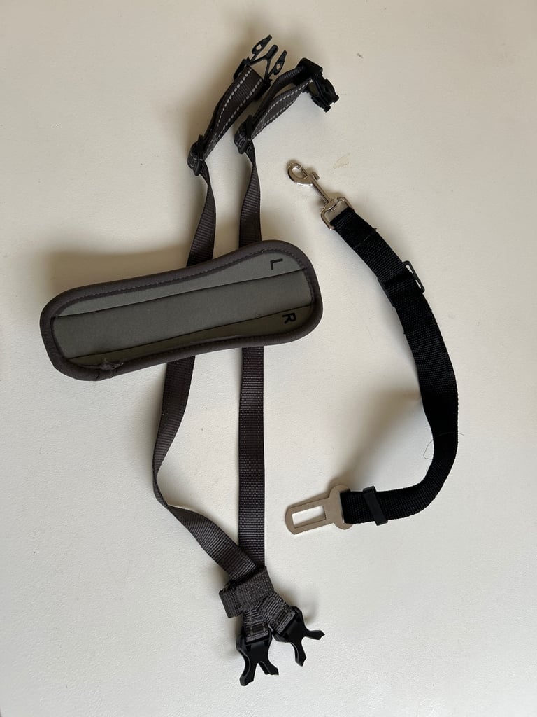 Free - dog harness for car travel 