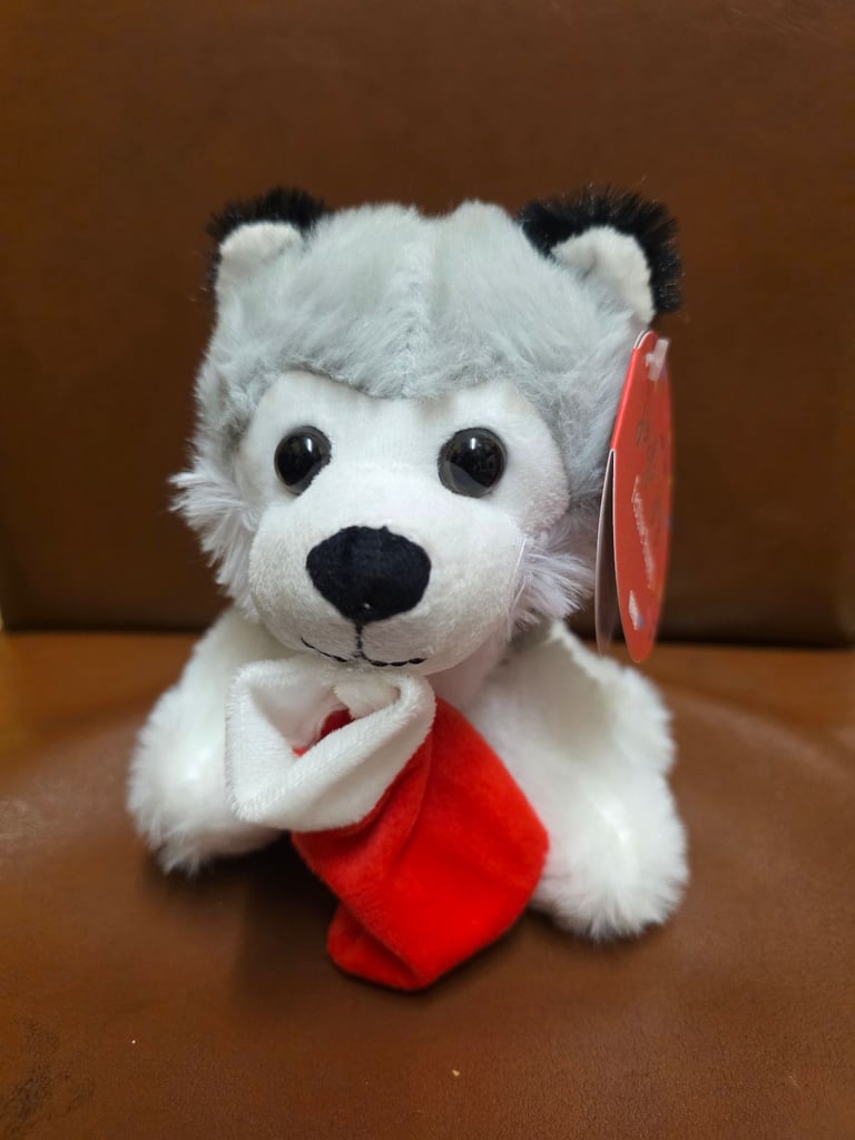 image for Christmas dog teddies