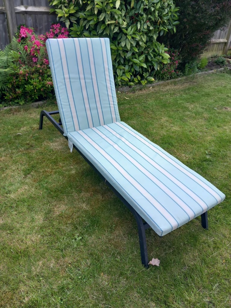 image for Sunbed with comfy blue cushion for sale