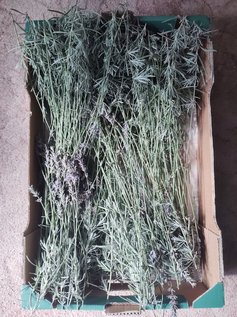 Large Box of Lavender