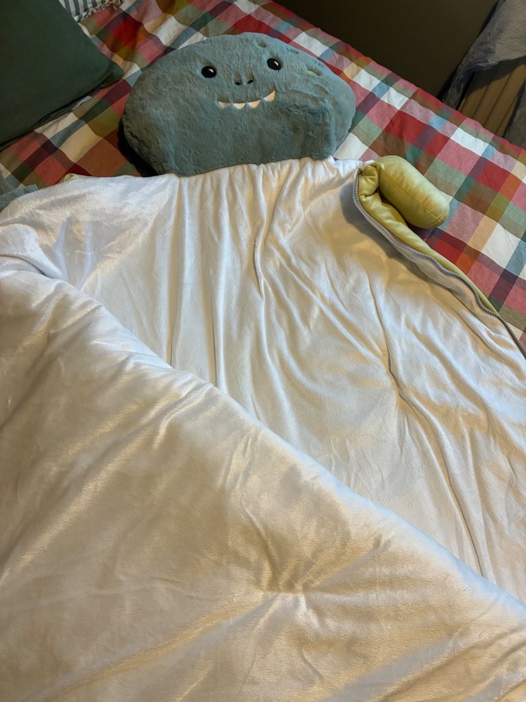 Dinosaur sleeping bag brand new