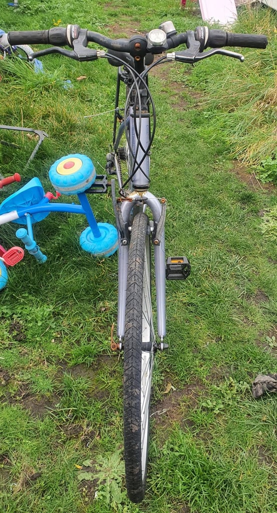 Adult Bicycle 