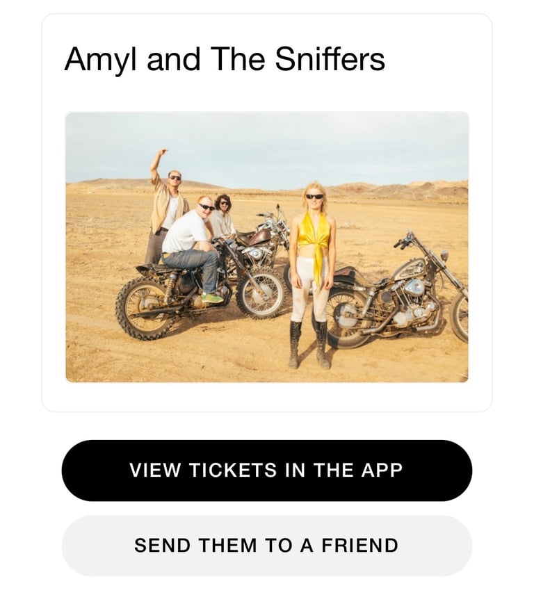 1 x ticket for Amyl & the Sniffers TONIGHT (25.10.25)