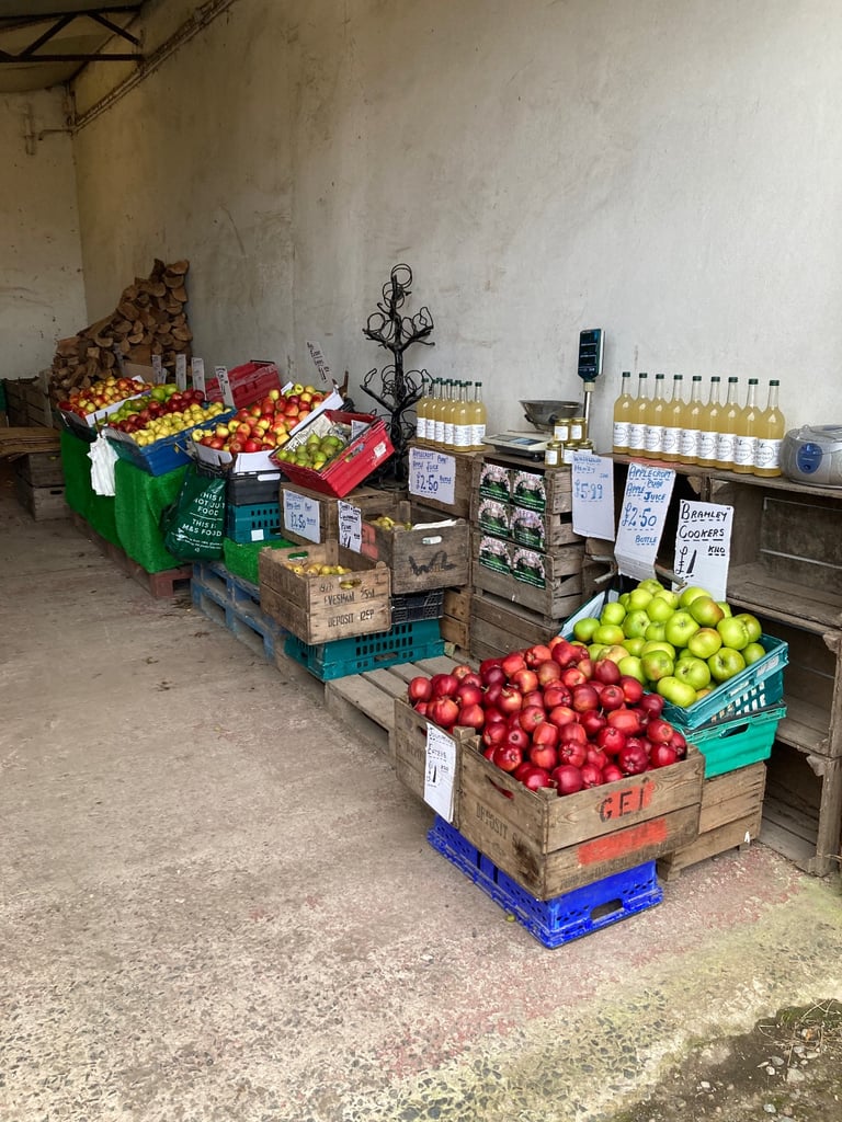 image for New Season BramleyCooking apples .Eating apples , Pears   