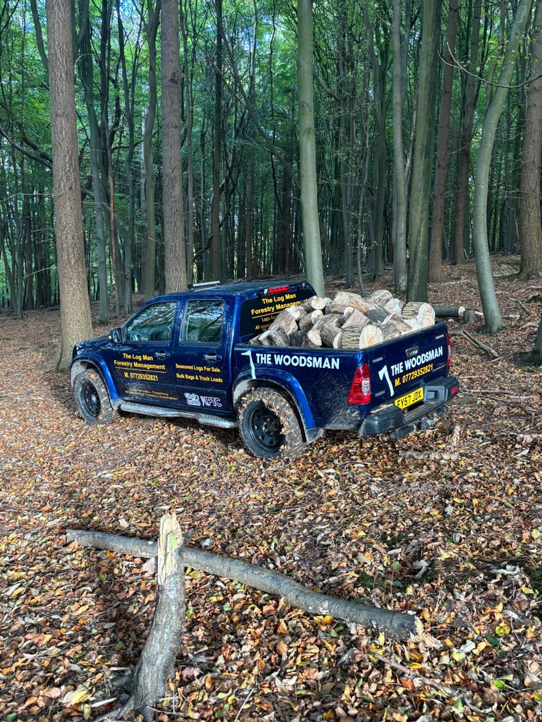 Season logs from the woodsman 