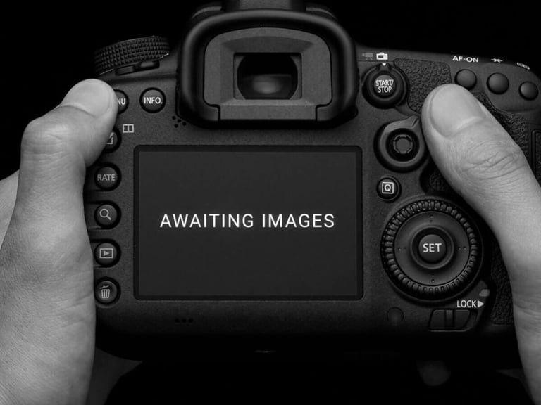 image for 2019 Ford Ranger 3.2 TDCi Wildtrak Pickup Double Cab 4dr Diesel Auto 4WD Euro 5