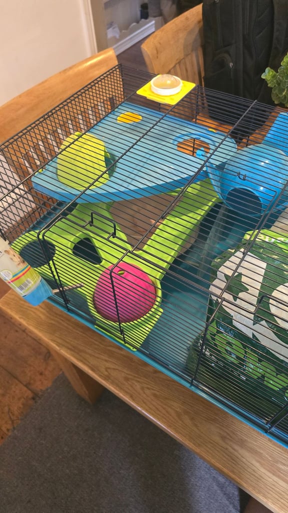 Gerbil / hamster cage for sale (pick up only)