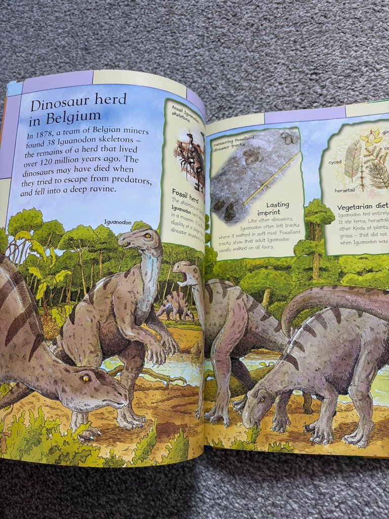 The Kingfisher First Dinosaur 🦖 Picture Atlas