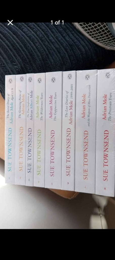 image for Sue Townsend Adrian Mole 
