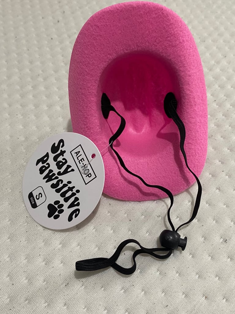 Small dog cowboy/girl hat
