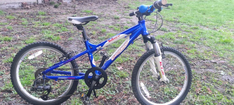 Kids carrera hotsell mountain bike