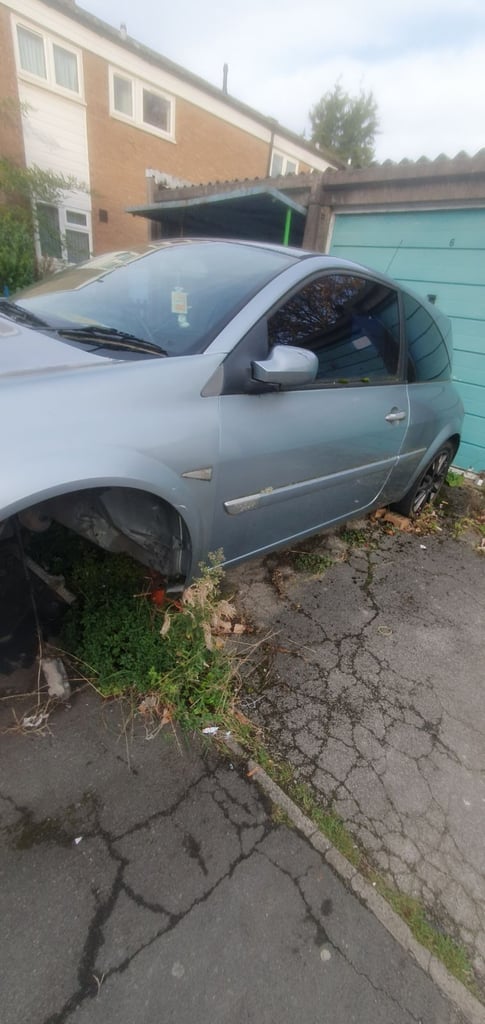 Megane rs megane 225