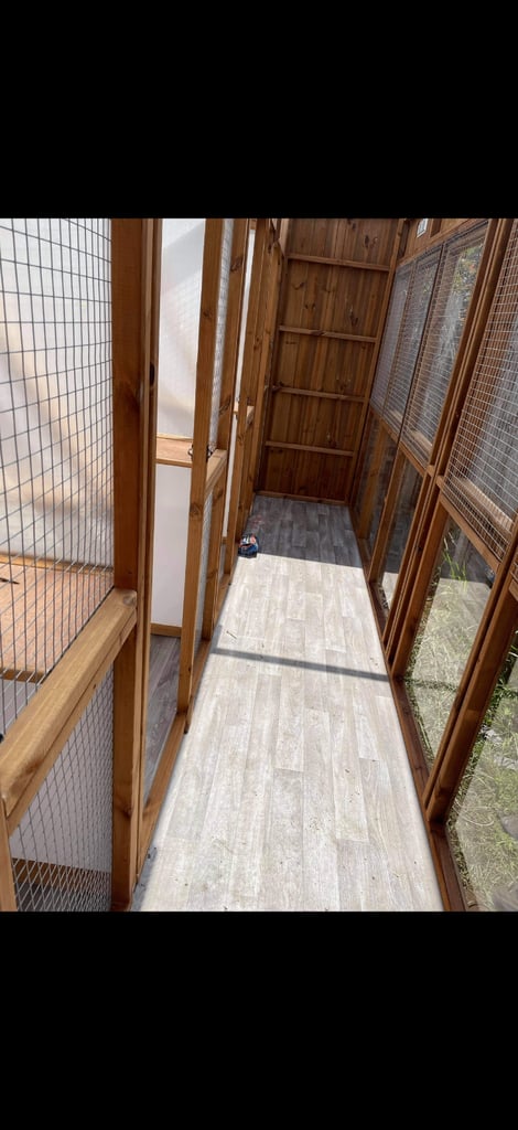 For sale Bespoke custom built cattery 