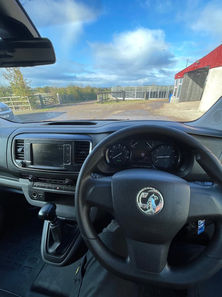 Vauxhall VIVARO 2019, Manual, 1499 (cc)