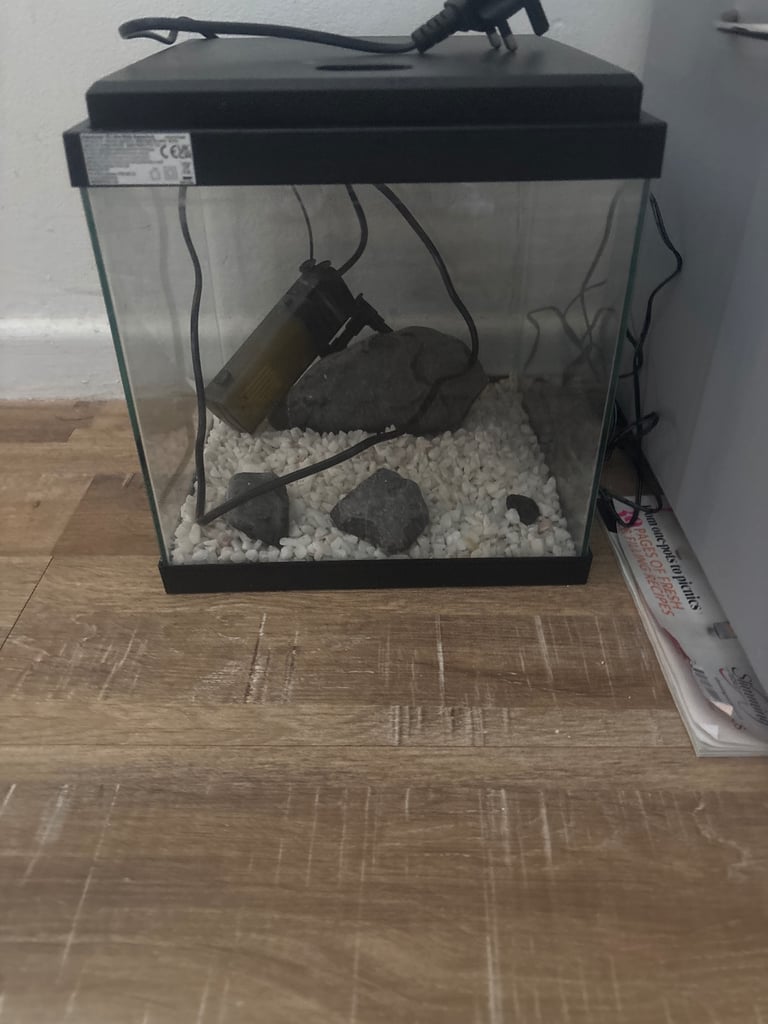 image for Fish tank filter and pump and stones 