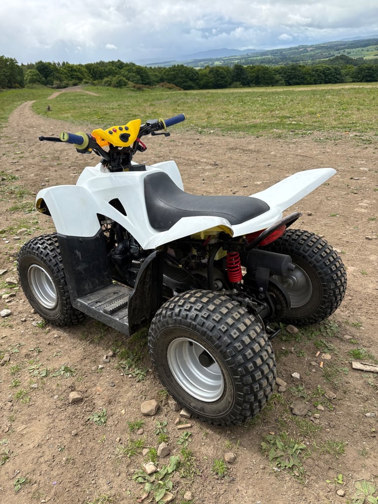 🔥Quadzilla qzr 80 