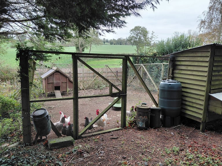 2 henhouses