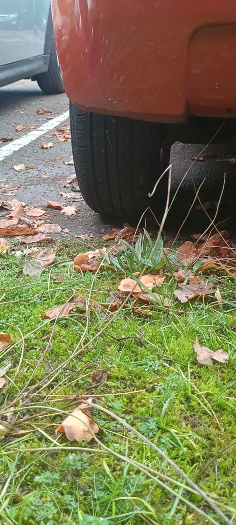 Proton, SAVVY, Hatchback, 2007, Semi-Auto, 1149 (cc), 5 doors