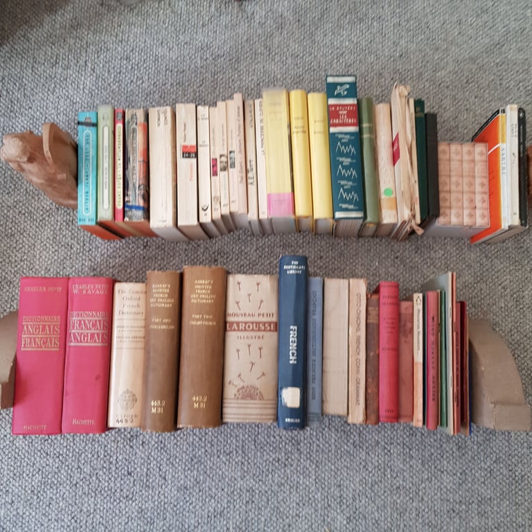 French books including dictionaries and grammars