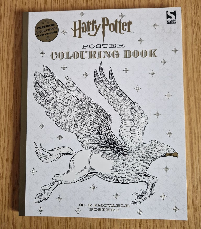 Harry Potter poster colouring book 