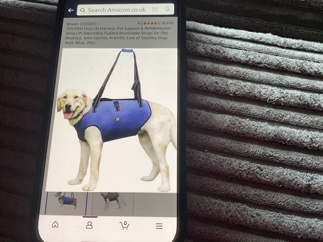 Amazon Dog Lift Assist Harness Adjustable Dog Lift Harness Leg