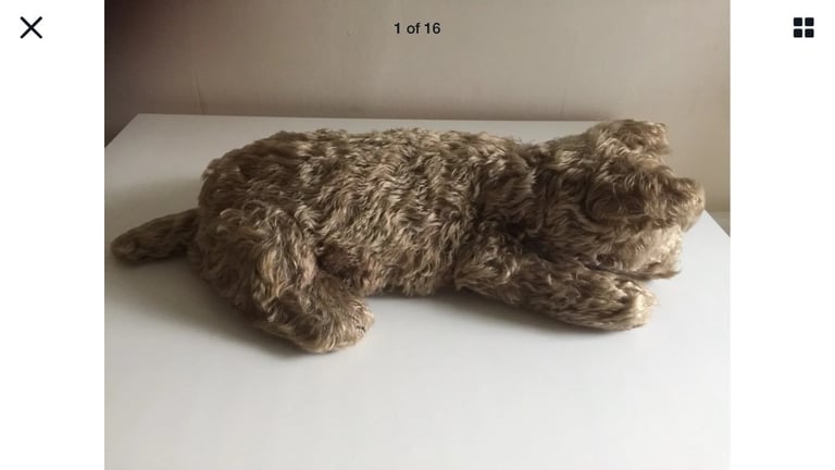 MERRYTHOUGHT collectable vintage rare 1950s Scottie terrier dog mohair pyjama  nightdress case | in South Kensington, London | Gumtree