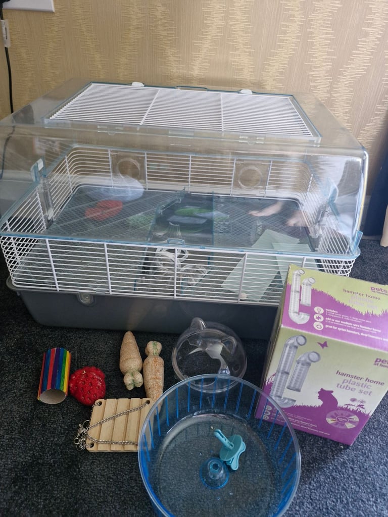 Hamster cage & accesories