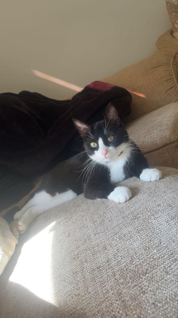 image for Darla and Bella (MUST GO TOGETHER)