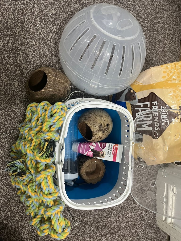 Rat Cage with accessories 