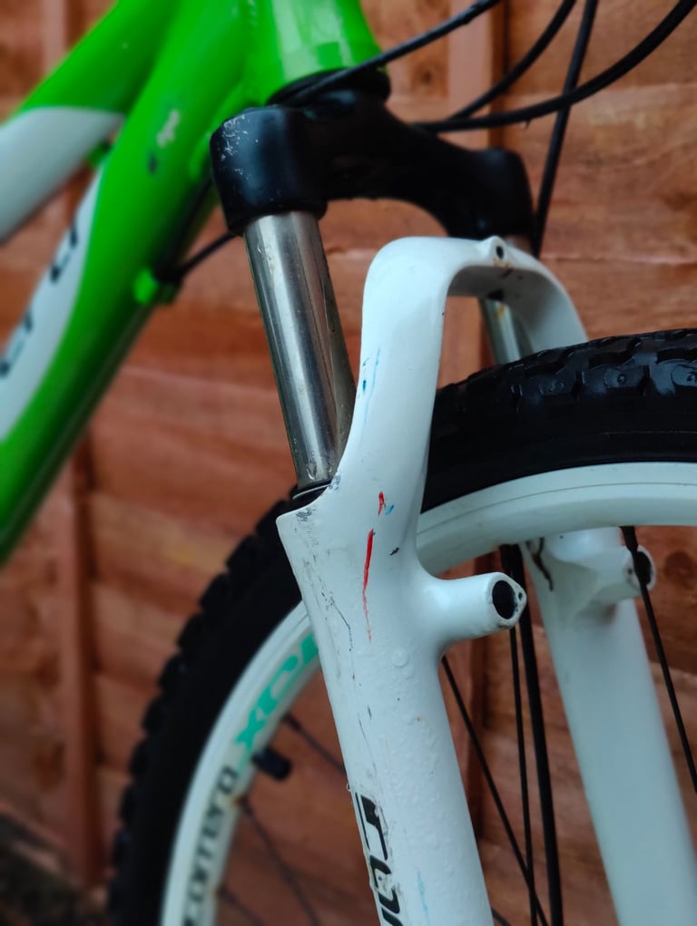 Carrera blast junior mountain bike