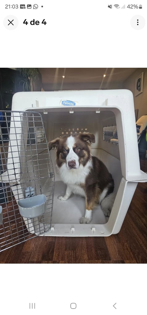 Giant dog kennel 