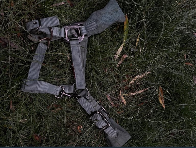 LeMieux HORSE HEAD COLLAR 