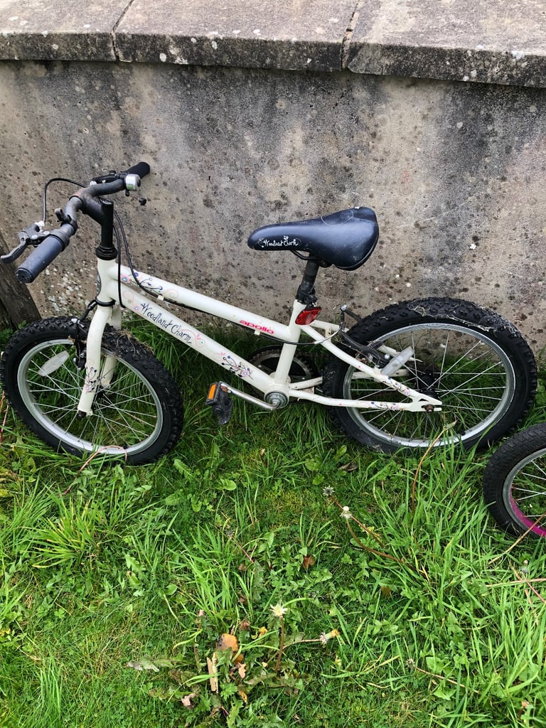 Selection of bikes
