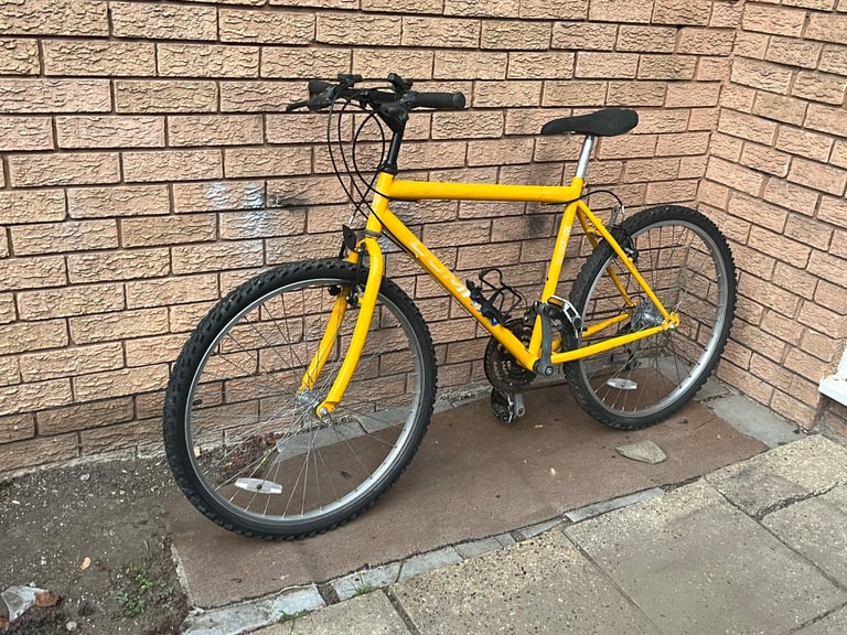 ADULT MEN BIKE DOMAIN IN GOOD WORKING ORDER 