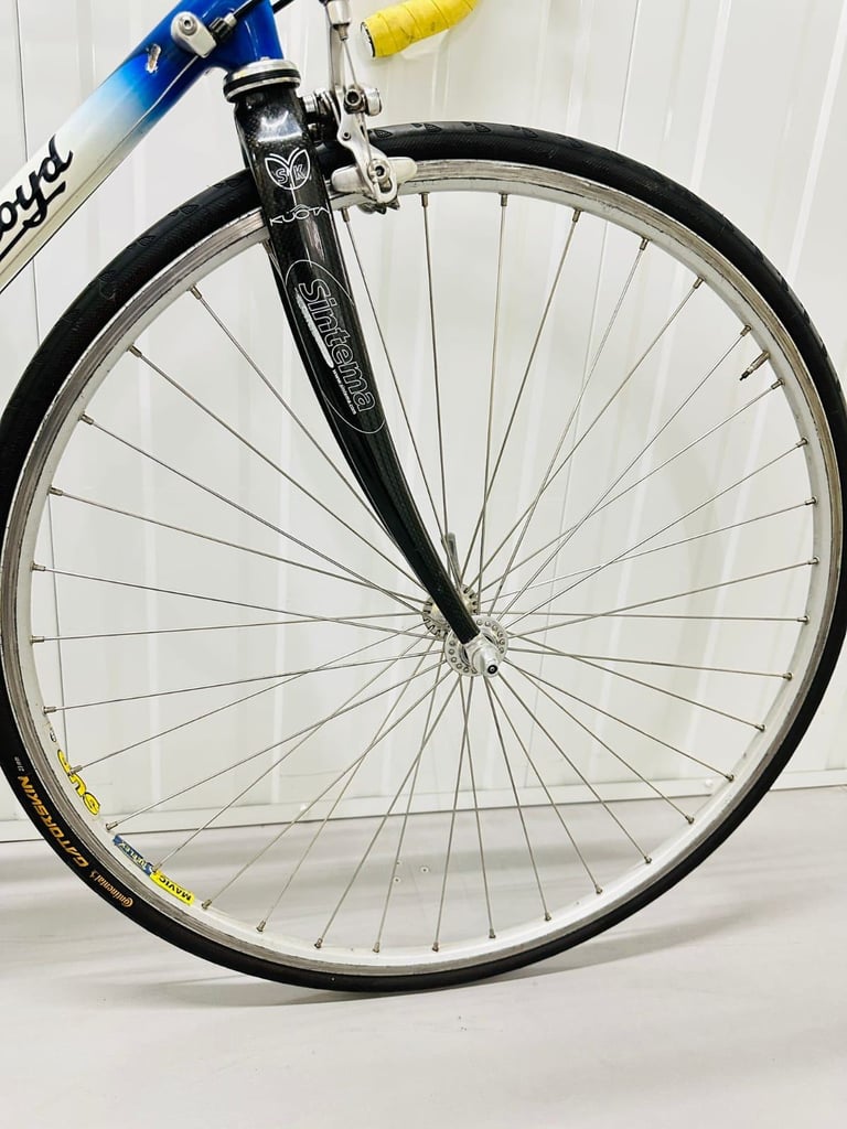 DAVE LYOD Size/M Carbon Forks Super LW Frame 18 Speed Road Bike  🚲