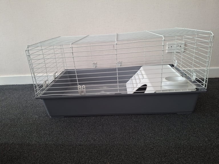 Guinea pig cage 