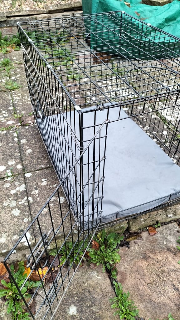 Large dog cage with two opening doors 