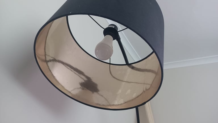 ACTUALLY FREE - Lamp 