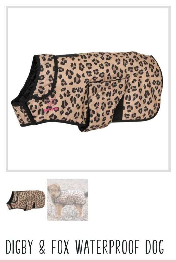 image for Digby and Fox dog coats 